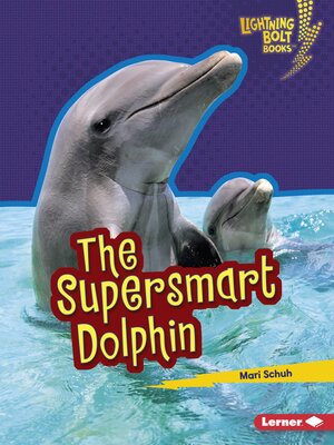 cover image of The Supersmart Dolphin